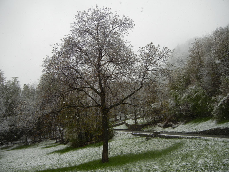 In Valle d''Aosta per 3 giorni....